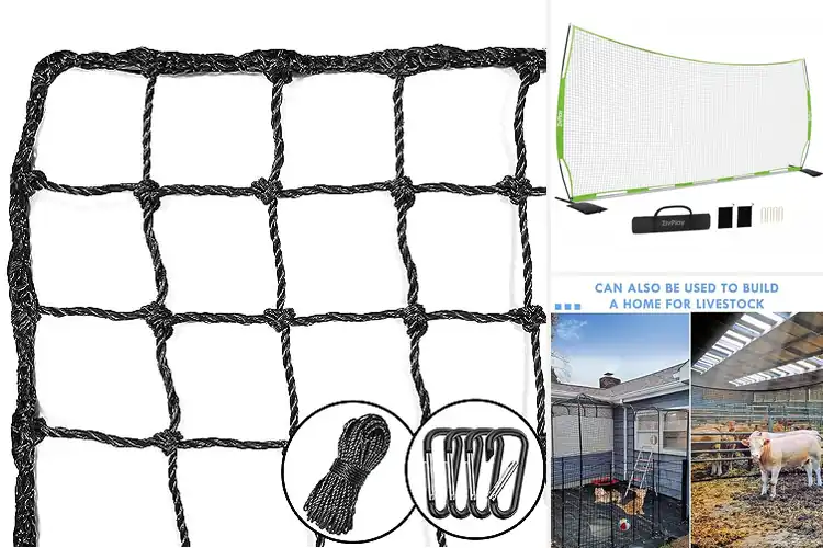 Detailed view of Best Backyard Nets