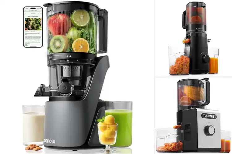 Detailed view of Best BPA-Free Juicers: Top 10 Healthy Picks for You