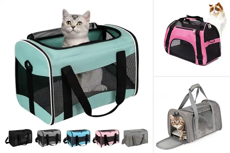 Detailed view of Best Cat Carriers For Kittens