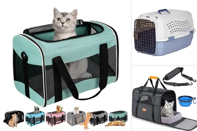 Detailed view of Best Cat Carriers: Top 10 Picks for Safe & Cozy Travel