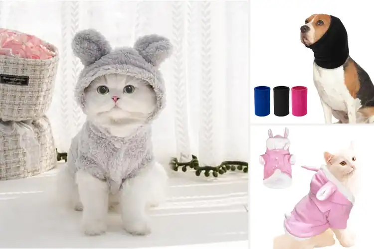 Detailed view of Best Cat Ears Hooded Pet Hoodie