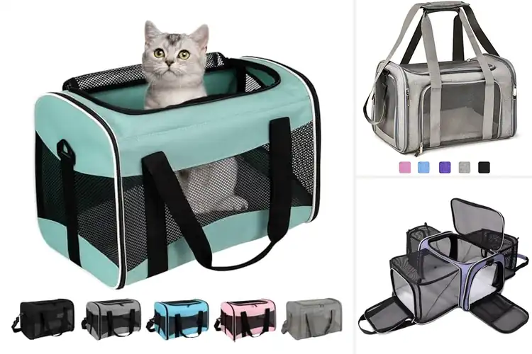 Detailed view of Best Comfortable Pet Carriers