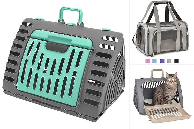Detailed view of Best Designed Pet Carriers: Stress-Free Travel for Your Pet