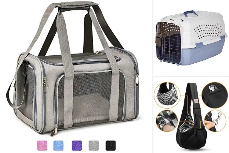 Detailed view of Best Dog Carriers: Top 10 Picks for Safe & Comfy Travel