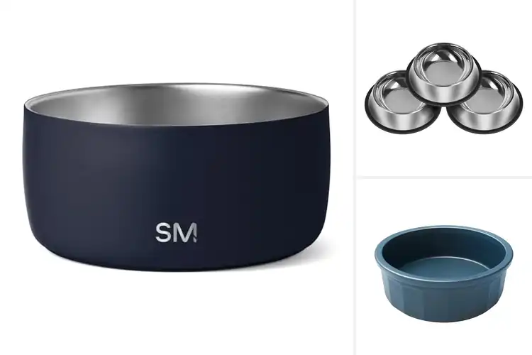 Detailed view of Best Durable Pet Bowls: Top 10 Picks for Mess-Free Mealtime