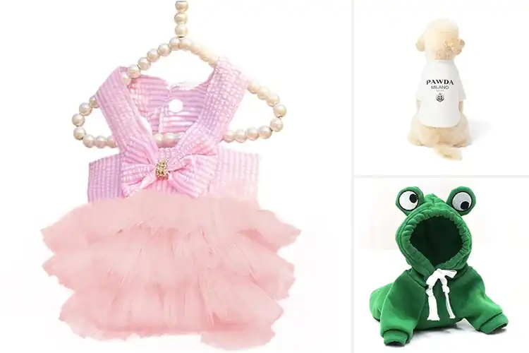 Detailed view of Best Fashion For Pets