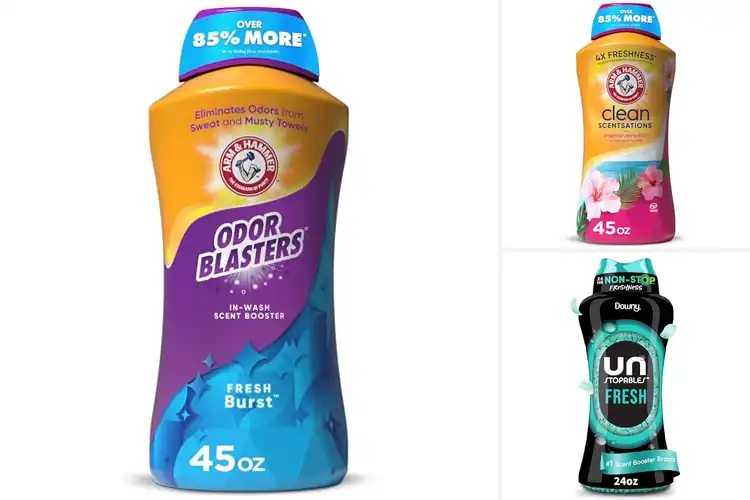 Detailed view of Best Fresh Scent Laundry Products