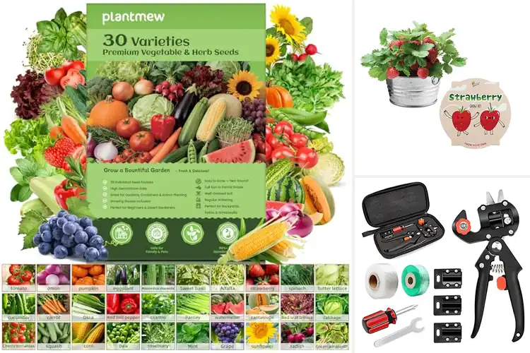 Detailed view of Best Fruit Gardening Kits