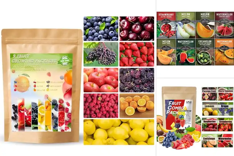 Detailed view of Best Fruit Seed Pack: Grow Fresh, Flavorful Fruits Easily