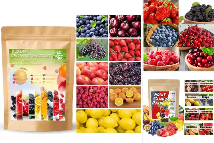 Detailed view of Best Fruit Seed Variety Packs: Grow Fresh Fruits with Ease