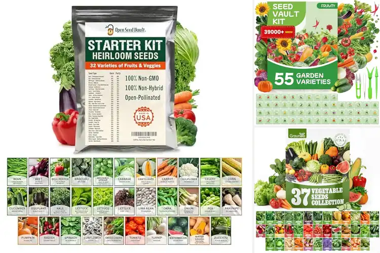 Detailed view of Best Fruit Seeds For Outdoor Gardens