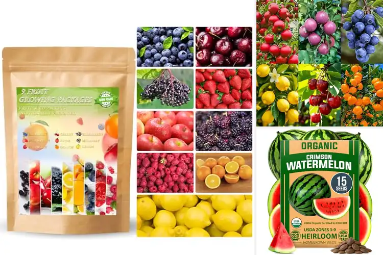 Detailed view of Best Fruit Seeds For Outdoor Home Garden