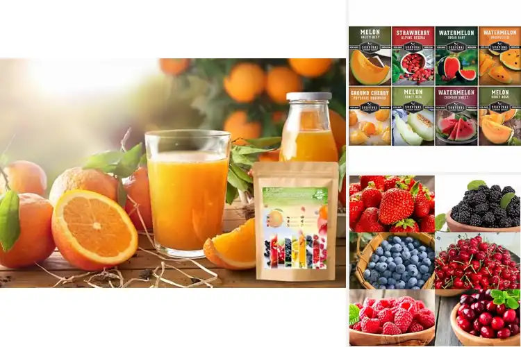 Detailed view of Best Fruit Seeds