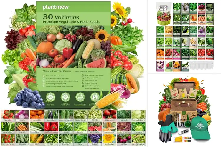 Detailed view of Best Gardening Kit Seeds Pack