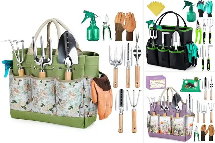 Detailed view of Best Gardening Kits
