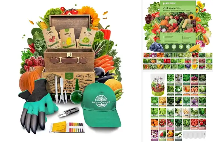 Detailed view of Best Gardening Seed Kits