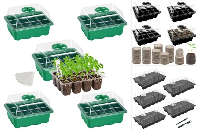 Detailed view of Best Gardening Seed Starter Kit for Easy Growth
