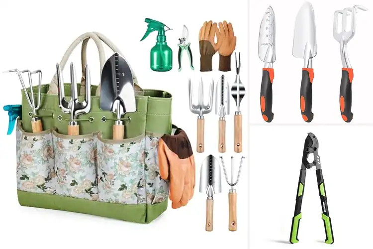 Detailed view of Best Gardening Tools