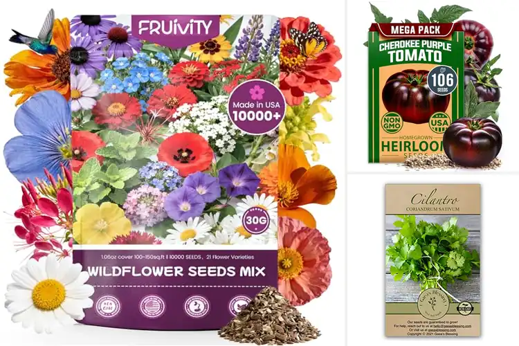 Detailed view of Best Germination Rate Seeds