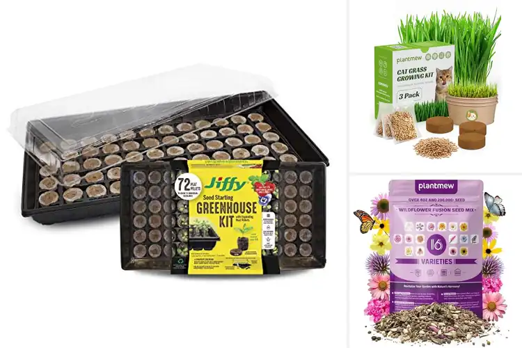 Detailed view of Best Germination Rates