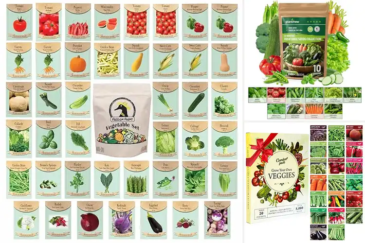 Detailed view of Best Germination Seed Varieties For Home Garden