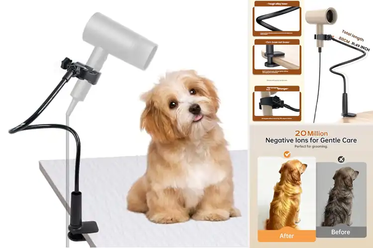 Detailed view of Best Hands Free Pet Accessory