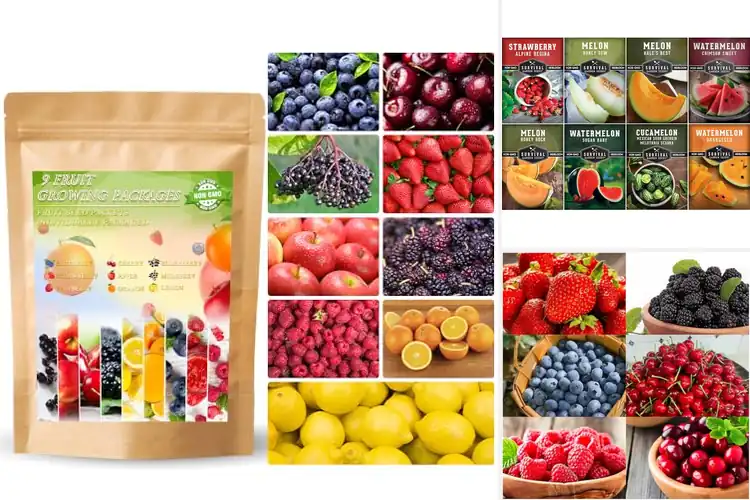 Detailed view of Best Harvest Ready Fruit Seeds