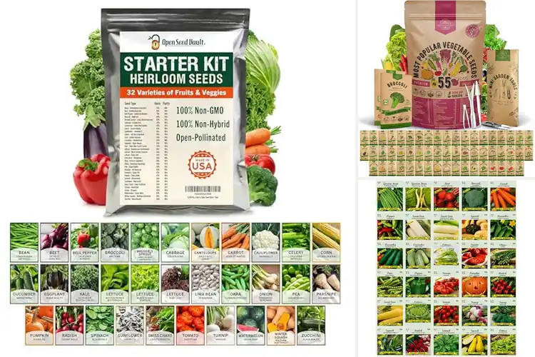 Detailed view of Best Heirloom Seed Variety Packs