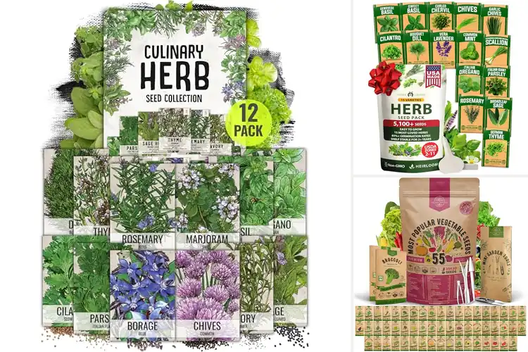 Detailed view of Best High Germination Seeds: Fast Sprouting, Strong Growth