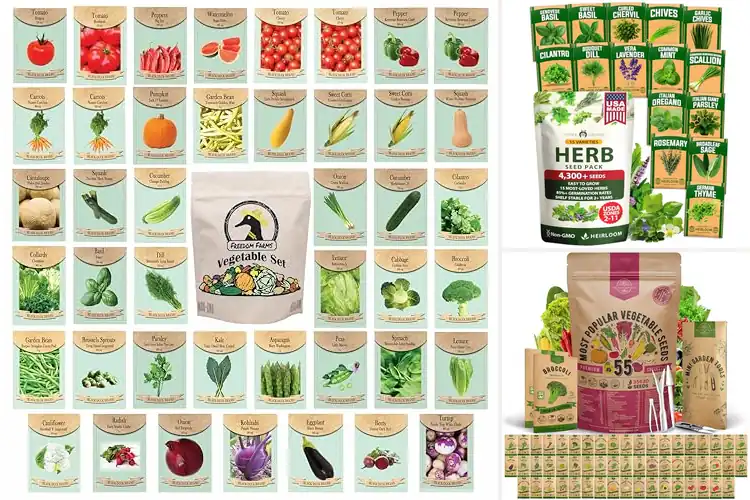 Detailed view of Best Home Garden Seeds: 10 Top Picks for a Thriving Harvest
