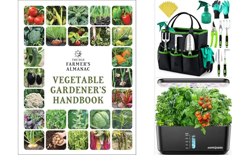 Detailed view of Best Home Gardening: Simple Tips for Fresh Herbs & Veggies