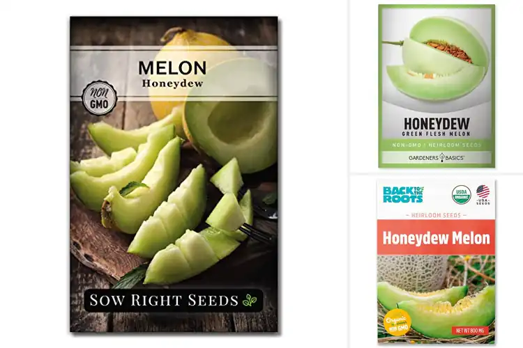 Detailed view of Best Honeydew Melon Seeds For Planting