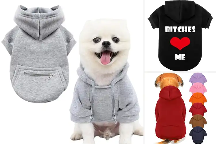 Detailed view of Best Hoodie For Small Pets: Top 10 Cozy & Stylish Picks