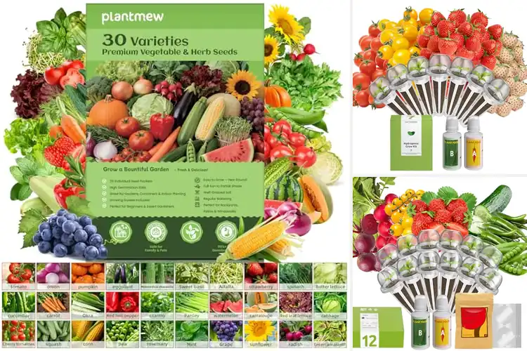 Detailed view of Best Hydroponic Fruit Seeds for Easy Fresh Harvests