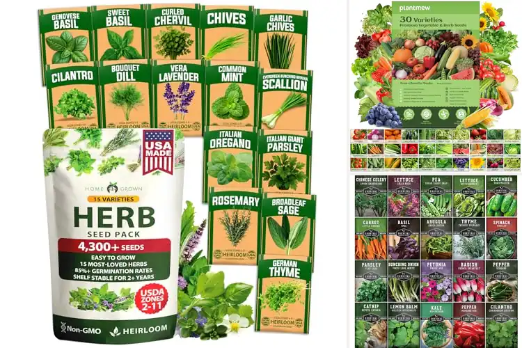 Detailed view of Best Hydroponic Seed Packs
