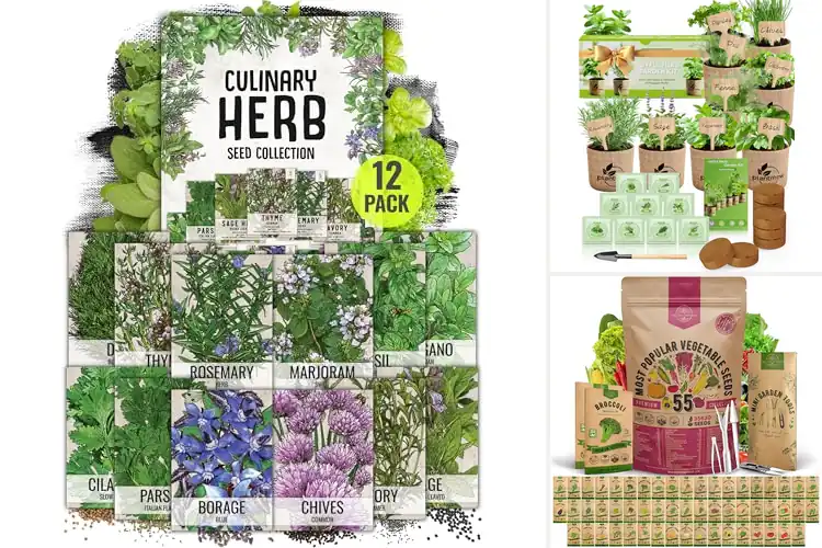 Detailed view of Best Indoor And Outdoor Garden Seeds For Home Growers