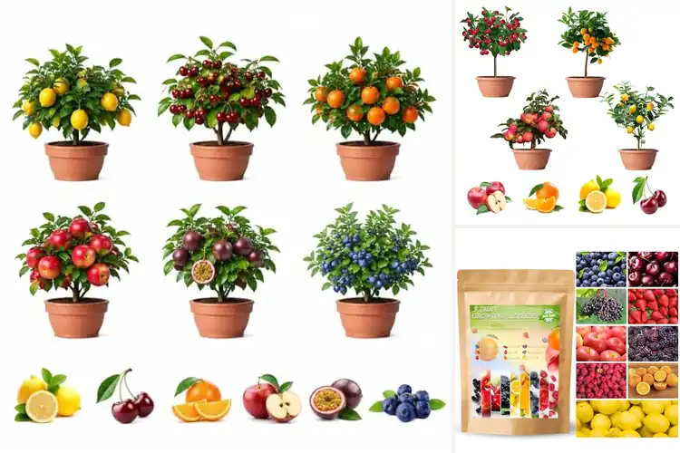 Detailed view of Best Indoor Fruit Seeds for Easy Home Harvests