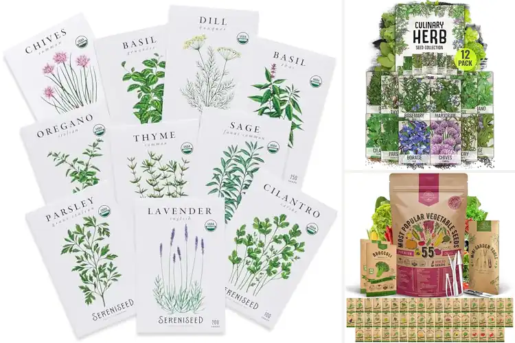 Detailed view of Best Indoor Gardening Seeds for Fresh Flavors at Home
