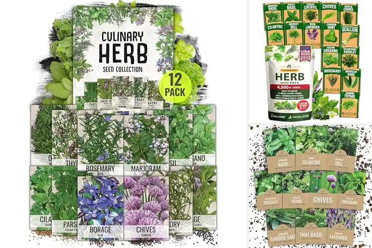 Detailed view of Best Indoor Seed Packs