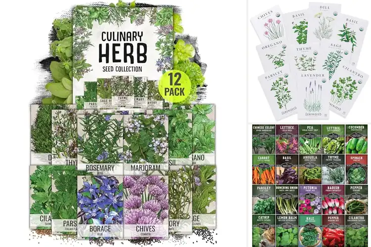 Detailed view of Best Indoor Seeds