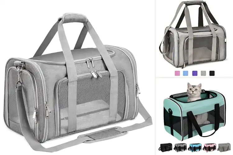 Detailed view of Best Lightweight Pet Carriers