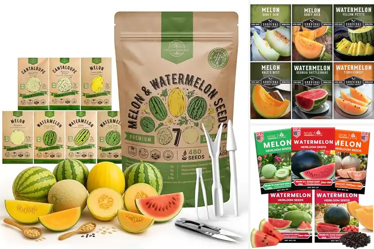 Detailed view of Best Melon And Watermelon Seed Variety Pack