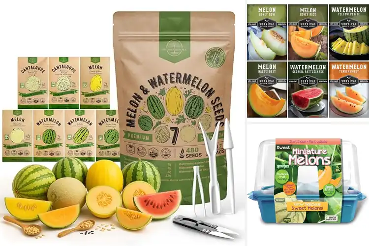 Detailed view of Best Melon Seed Kits For Home Garden