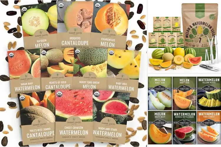 Detailed view of Best Melon Seed Packets