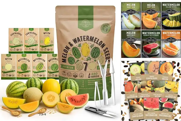 Detailed view of Best Melon Seed Packs: Grow Juicy Fruits Effortlessly
