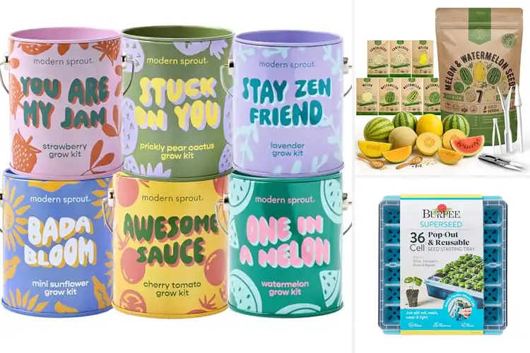 Detailed view of Best Melon Seed Starter Kits