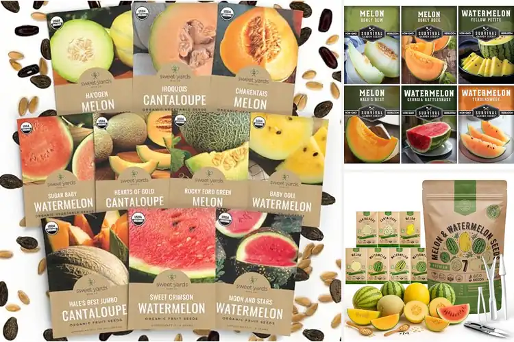 Detailed view of Best Melon Seed Variety Packs