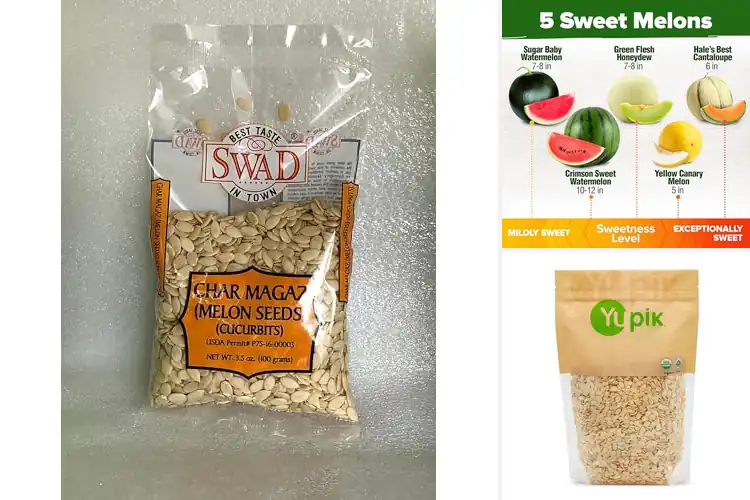 Detailed view of Best Melon Seeds for Bold Flavors & Easy Growing
