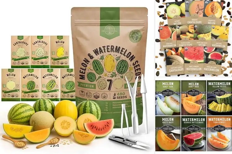 Detailed view of Best Melon Seeds Variety Pack