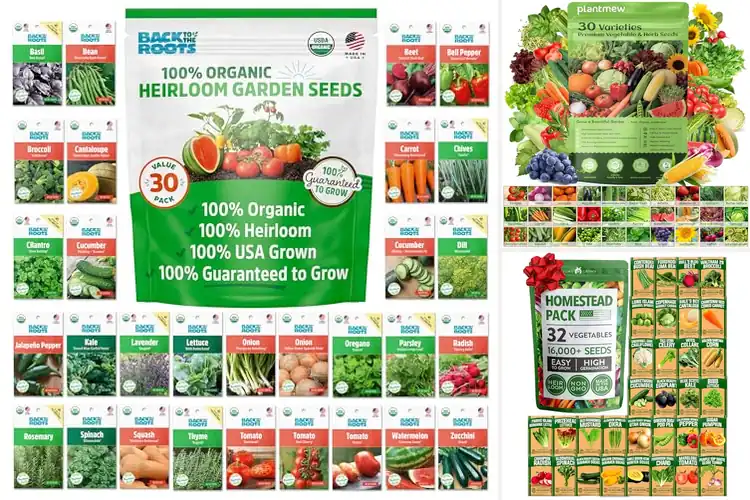 Detailed view of Best Non GMO Fruit Seeds With High Germination